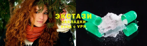 индика Дмитровск