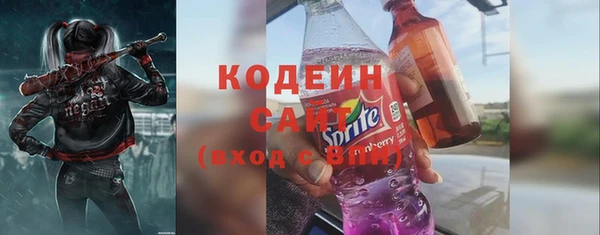 индика Дмитровск