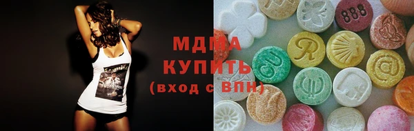 индика Дмитровск