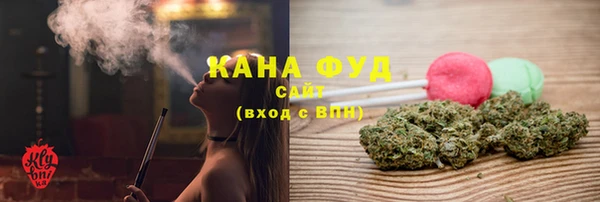индика Дмитровск