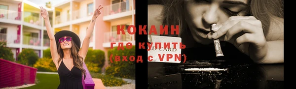 индика Дмитровск