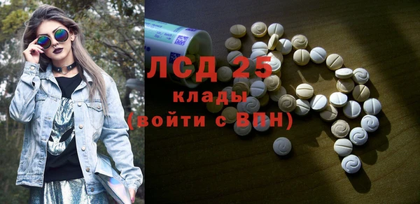 твердый Ельня