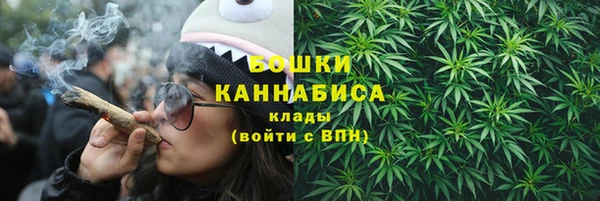 индика Дмитровск