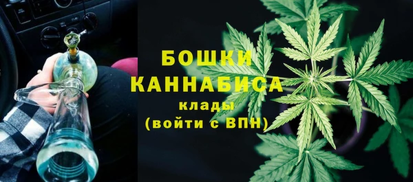 2c-b Дмитриев