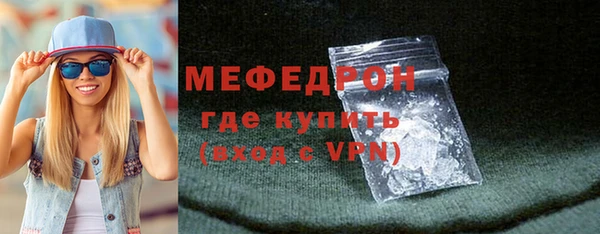 индика Дмитровск